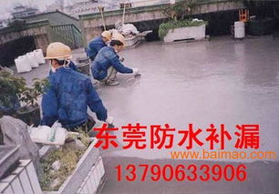 东莞防水补漏工程 楼面整体防水解决方案与价格分析