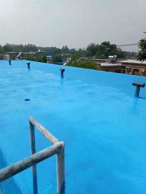 安建江城 湖北地区桥梁与管道工程的防水技术实践与展望